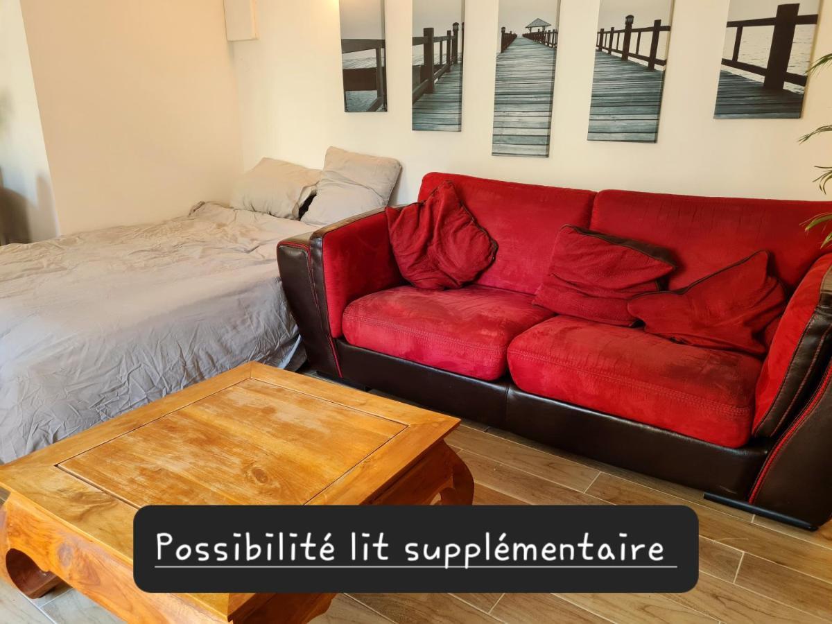 Appartement Calme Et Pratique. 图尔 外观 照片